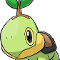 Turtwig