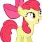 Apple bloom