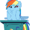 silly dashie