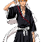 U like the spiky orange haired substituete soul reaper more.