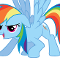 rainbow dash