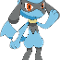 Riolu