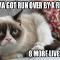 Grumpy Cat