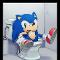 Sonic stuck on the toilet