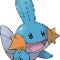 Mudkip