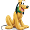 Pluto the dog