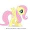 Fluttershy