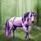 twilight sparkle real horse