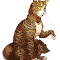 Leafpool