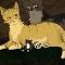 Tigerstar and Goldenflower