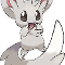 Minccino