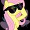 Cool_Fluttershy