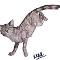 Jayfeather