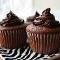 Chocolate Cupcake