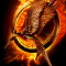 Catching Fire (#2)