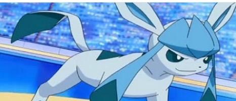 Shy Glaceon