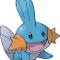 Mudkip