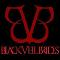 Black Veil Brides