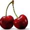 Cherries