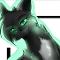 Hollyleaf