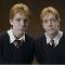 Fred/George