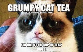 grumpy cat or...