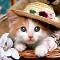 Cat in sombrero