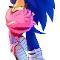 SonAmy (Sonic x Amy )