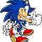 Sonic the hedgehog