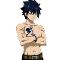 Gray Fullbuster