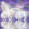 Unicorn/Pegasus