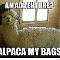 Alpacas