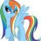 Rainbow dash 3.