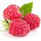 raspberries <3