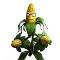 Kernel corn gadern warfare 2