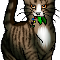 Leafpool :)