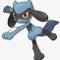 Riolu