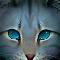 Jayfeather