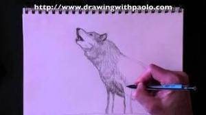 Drawing a wolf with Paolo Morrone