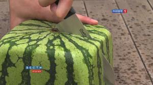 Square watermelons Japan. English version