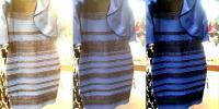 The Science of Why No One Agrees on the Color of This Dress | WIRED