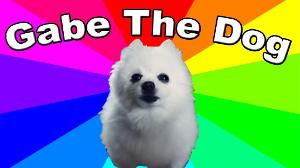 What is Gabe the dog? The History & Origin Of Bork Remixes And Gabe The Dog Memes