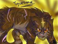 Do you think you know Tigerstar?