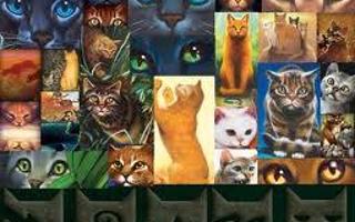 What warrior cat rank are you? (1)