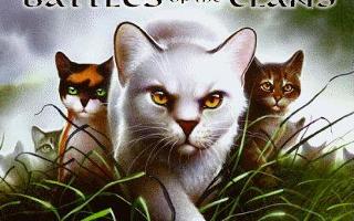 Which cat are you in ThunderClan?