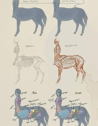 Mythical Creatures: Centaur Quiz