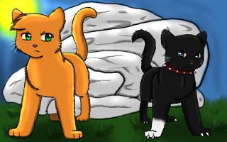 Warrior cats name (Prefix)