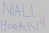 NIALL HORAN QUIZ: