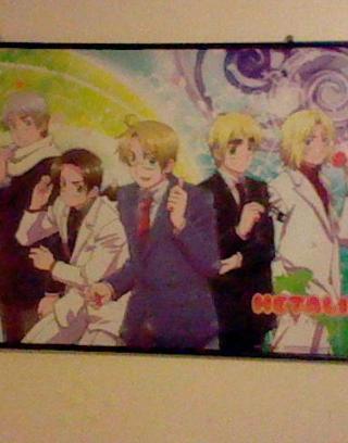 what does hetalia think of you