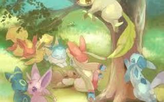 What Eeveelution Are You? (1)